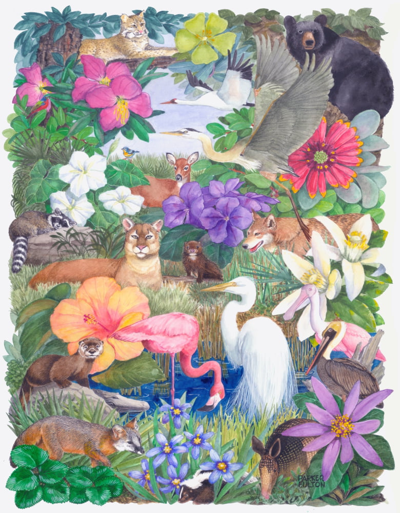 Download 68 Gambar  Poster Flora  Dan Fauna Terbaru Gratis