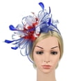 thumbnail image 4 of Baberdicy Women's Small Fascinator - Feather Netting Pillbox - Tea Party Formal Hat - Elegant Hair Accessory - Summer Wedding F,One Size, 4 of 8