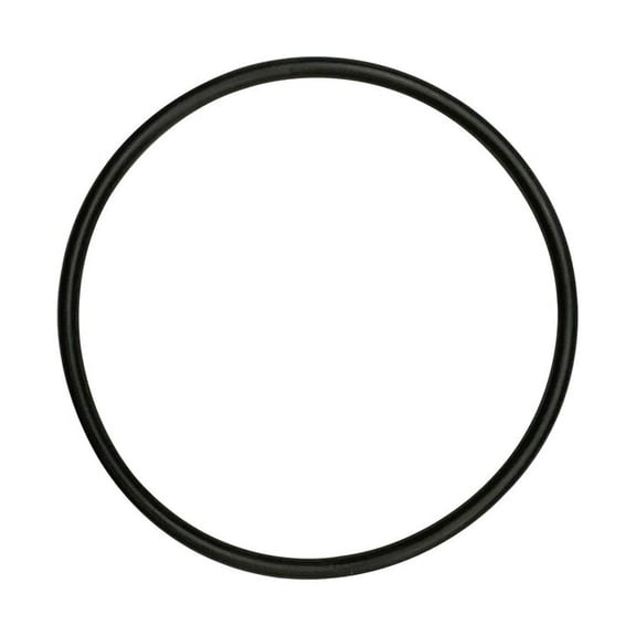 Hayward (SPX0722G) Ball Valve End Connector Bonnet O-Ring || O-168