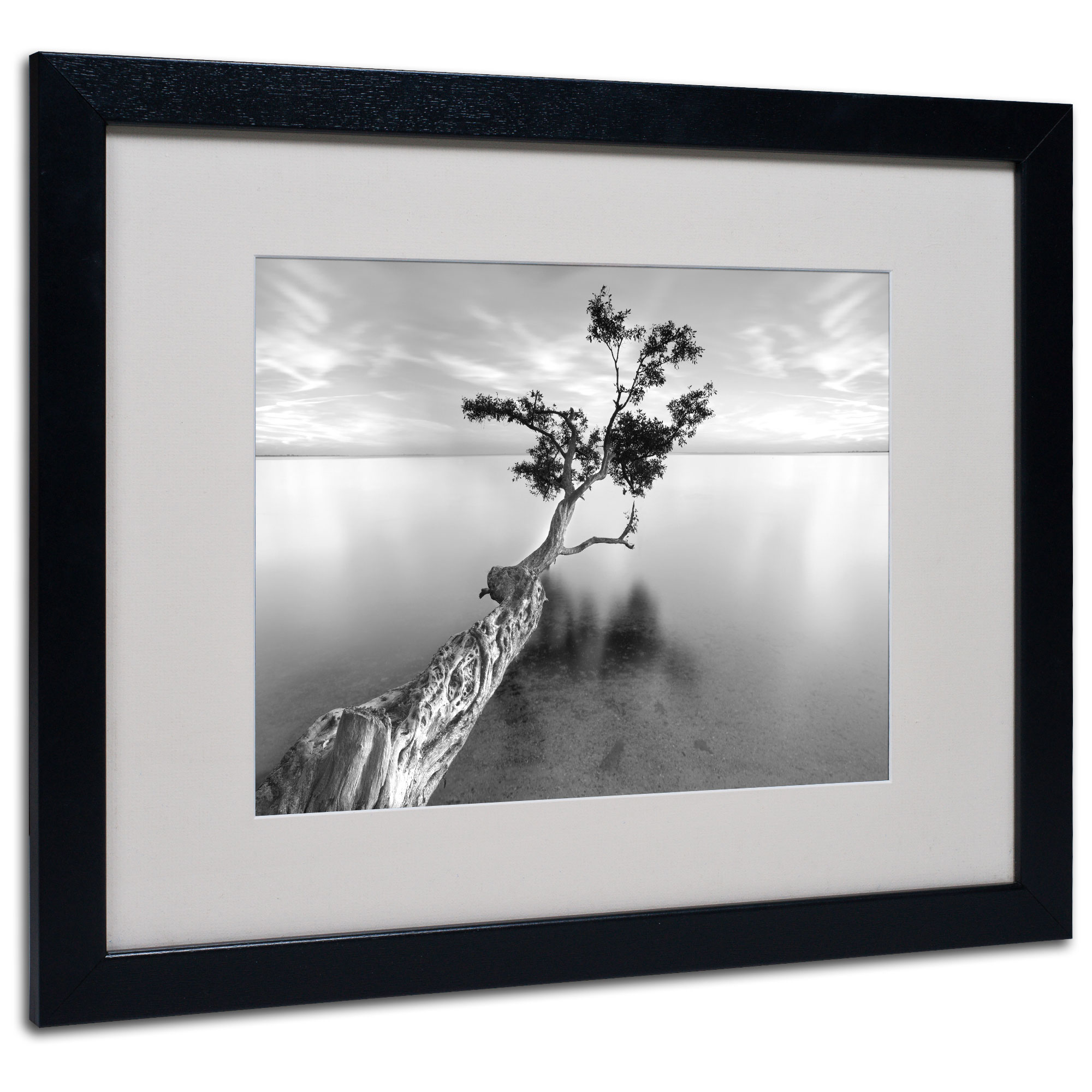 Matted art under acrylic in a black frame