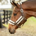 thumbnail image 2 of Equinavia Valkyrie Soft Ultra Fleece Padded Adjustable Breakaway Horse Halter, 2 of 2