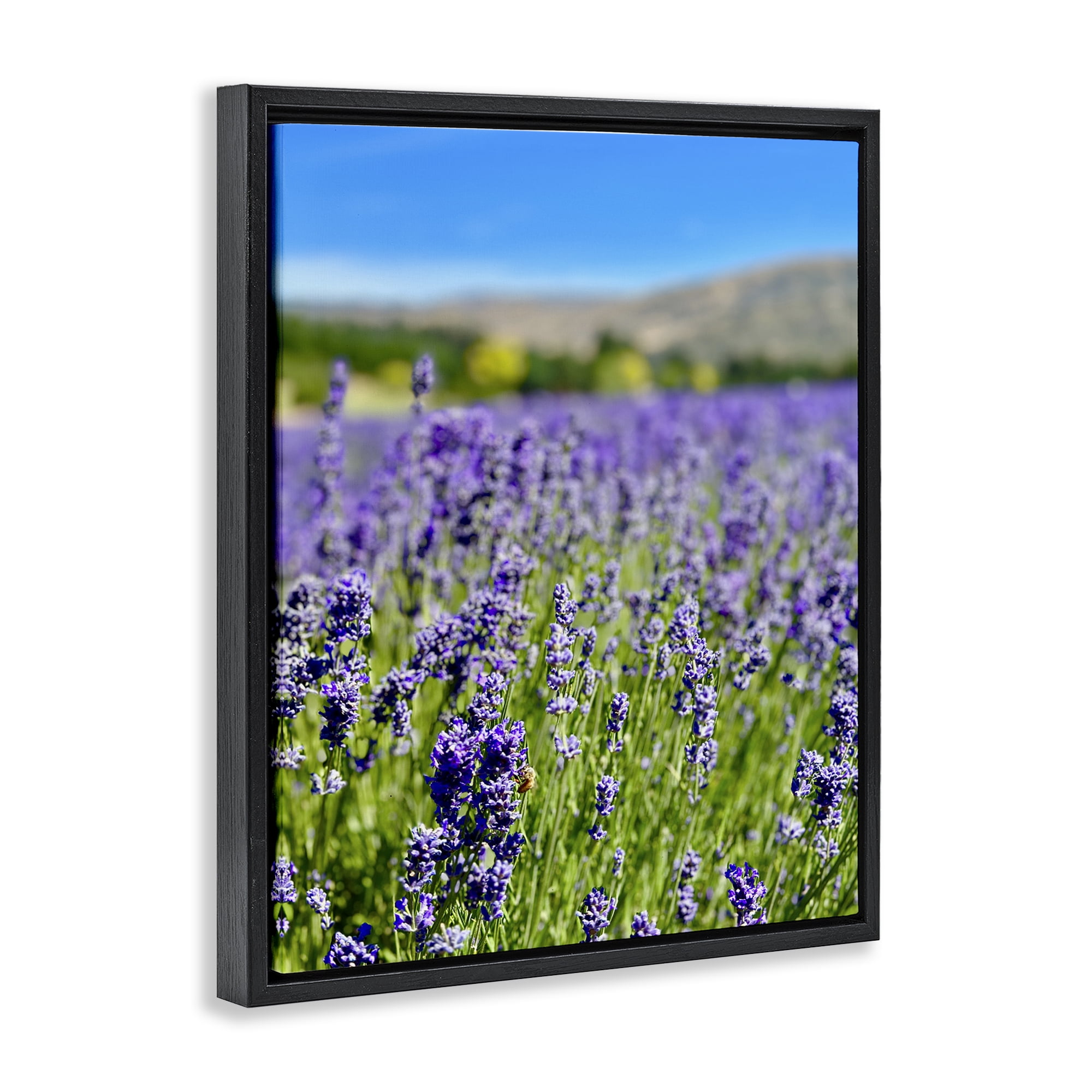 Stupell Industries Lavender in the Wind Landscape Photography Black Floater Framed Art Print Wall Art, 25 x 31