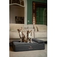 thumbnail image 2 of Cama para perros NOAH & PAW, 71 x 58 x 19 cm, ortopédica, impermeable, 2 of 8