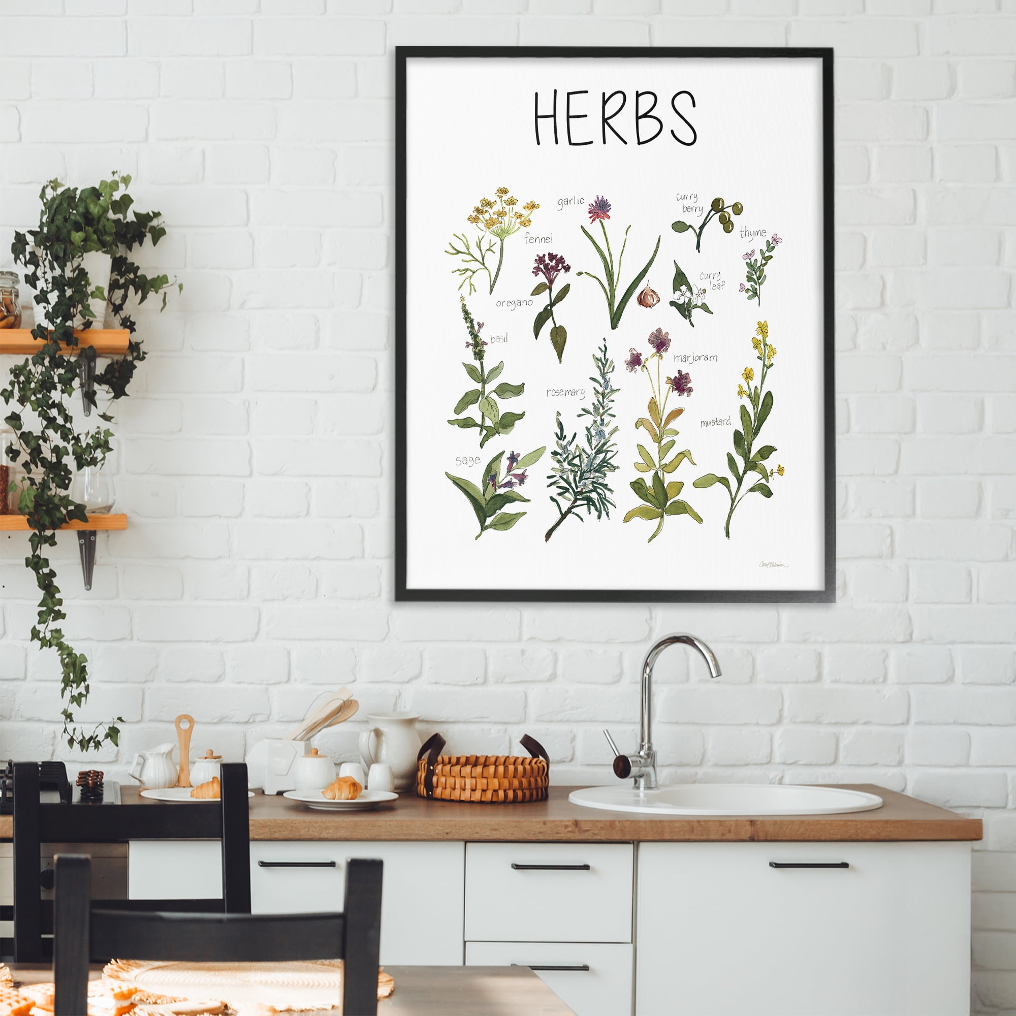 Stupell Industries Herbs Identification Chart Black Framed Giclee Art, design by Carol Robinson