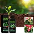 thumbnail image 5 of YingYouFu Plant Nutrient Solution, 3 Ozs Accelerated Rooting Growth , Safe for Potted Flowers and Plants, High Search Flower Food for Gardening, multicolor, 5 of 9