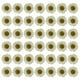 thumbnail image 1 of 60 piezas de margaritas secas en relieve con diseño floral de resina para hacer joyas, velas, jabón, jarrones, pegatinas, libros, manualidades, decoración floral, 1 of 5