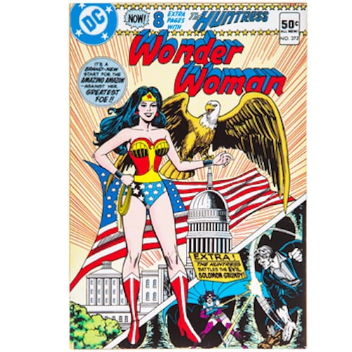 Wonder Woman Comic Wood Wall Art Home Decoration Theater Media Room Man