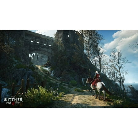 Warner Bros. The Witcher 3: Wild Hunt Video Games - PlayStation 4