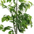 thumbnail image 3 of 70.9in (1.8M) Artificial Fig Tree Realistic Faux Plant for Home, Office & Living Room Decor, 3 of 6