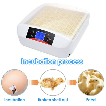 Yescom Digital 56 Egg Incubator Hatcher Temperature Control Automatic Turning with Built-in LED