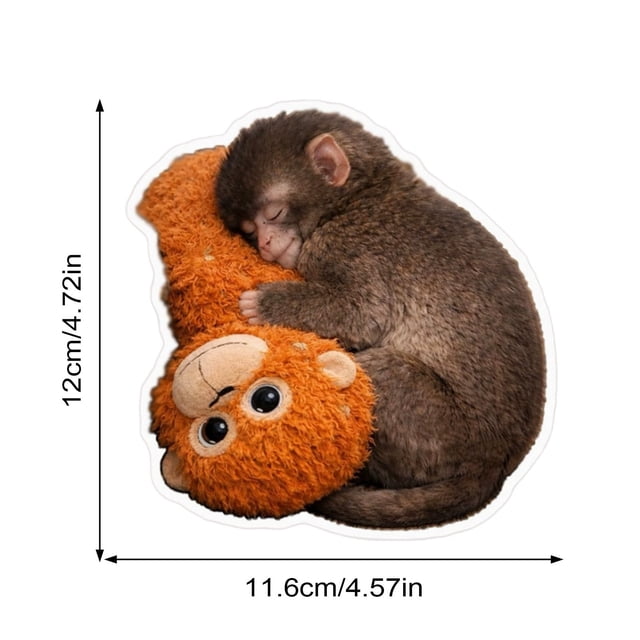 Sticker Pack,Fun Stickers; Kids Stickers; Decorative Stickers; Diy Sticker Set; Creative Sticker Collection普通产品 -> Home & Garden -> 家居装饰 -> Stickers 贴纸Punch The Monkey | Cute Monkey Holding Plush Toy