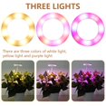 thumbnail image 2 of Telescopic Grow Light with 20LEDs 3 Colors LED Plant Light 10 Dimmable Brightness Growing Lamp 3/9/12H Timer Seeding Lamp USB Powered Plant Lamp for Greenhouse Plants, 2 of 9