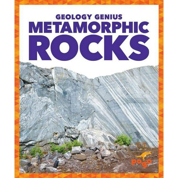 Geology Genius Metamorphic Rocks, (Hardcover)