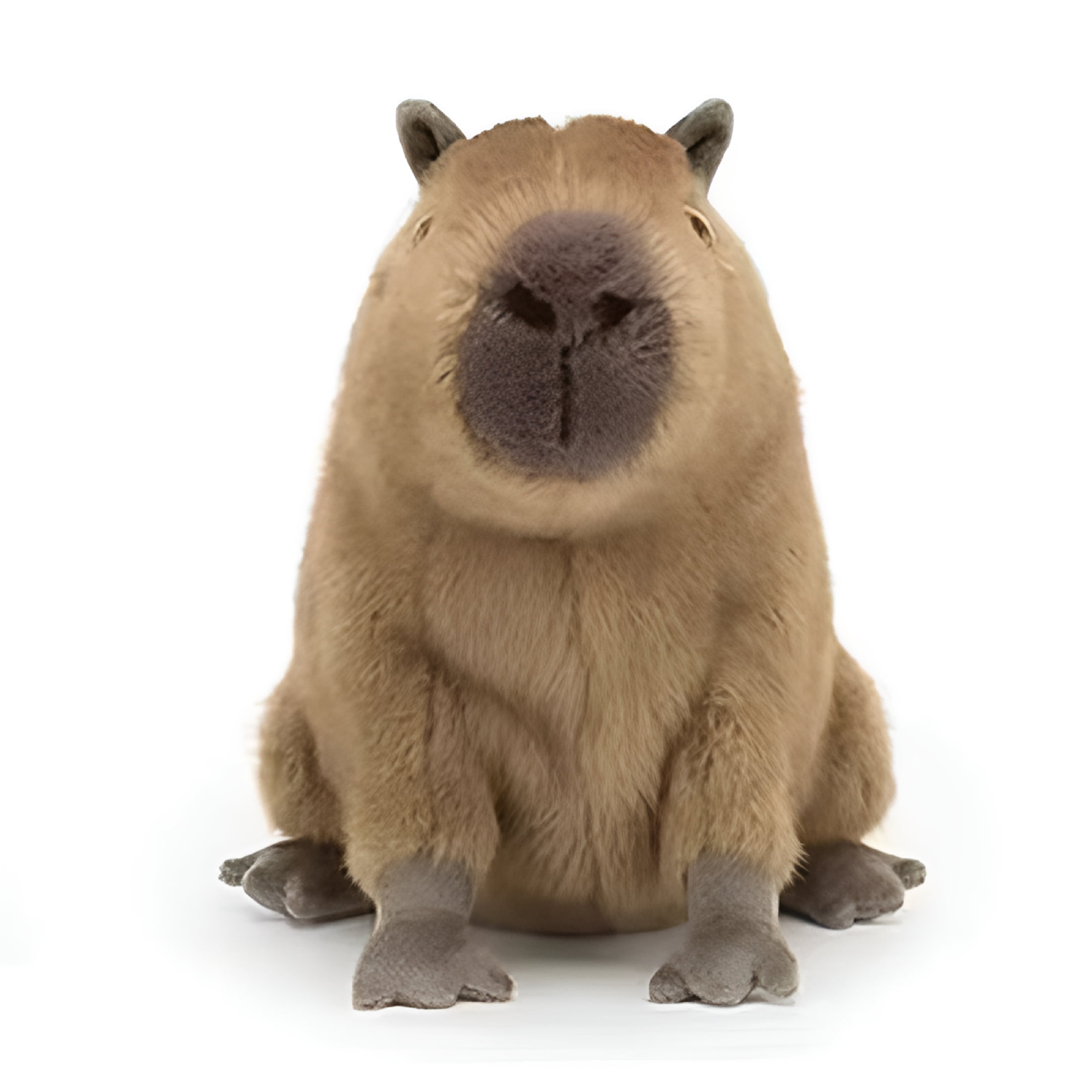 CYFW Realistic Capybara Stuffed Animal – 10.6" Cute Simulation Plush Toy, Soft Crawling Capybara Plushie Pillow for Kids, Girls & Adults, Adorable Model Doll Gift