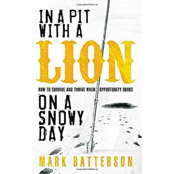 In a Pit with a Lion on a Snowy Day : How to Survive and Thrive When Opportunity Roars 9781590527153 Used / Pre-owned