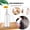 100ml mini spray bottle, variant on Fine Mist Spray Bottle 3 Pack 3.4oz / 100ml, Refillable Cosmetic Travel Containers, Plastic Hair Perfume Lotion Sprayer, Leak-Proof Lightweight, Random Color