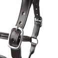 thumbnail image 3 of HORZE B Vertigo Evolve Leather Halter with Braided Accents, 3 of 7