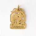 thumbnail image 4 of Any One 14k Yellow Gold ZODIAC Pendant, 4 of 9