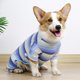 thumbnail image 4 of Xiao Hua Pijama para perro de manga larga a rayas, informal, para recuperación de cirugía de mascotas, adecuado para perros pequeños, 1 pieza, azul, talla M, 4 of 5