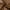 Dust Yellow, variant on Furniliving Leather Entryway  Bench Upholstered  Long  Bedroom Ottoman Mudroom Bench, Dust Yellow