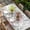 Off-White, variant on Gnomes Easter Table Cloths for 8 Foot Rectangle Tables, Colorful Spring Floral Weeping Eggs Retro Art Patio Waterproof Elastic Fitted Tablecloths, Washable Rectangular Table Cover for Camping
