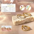 thumbnail image 2 of Triple/Double Hoop Nose Ring - G23 Titanium Septum Rings 16G/18G/20G CZ Nose Piercings Jewelry Conch Helix Daith Rook Tragus Cartilage Earring Hinged Nostril Piercing Gold/Black/Silver, 2 of 11