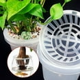Plastic Mesh Pot Net Cloning Basket Aquarium Insert Plants Growth