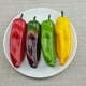thumbnail image 5 of 10 chiles artificiales de imitación para decoración de mesa, escaparate, escaparate, manualidades realistas, accesorios fotográficos de verduras falsas, decoración del hogar (estilo mixto), 5 of 5