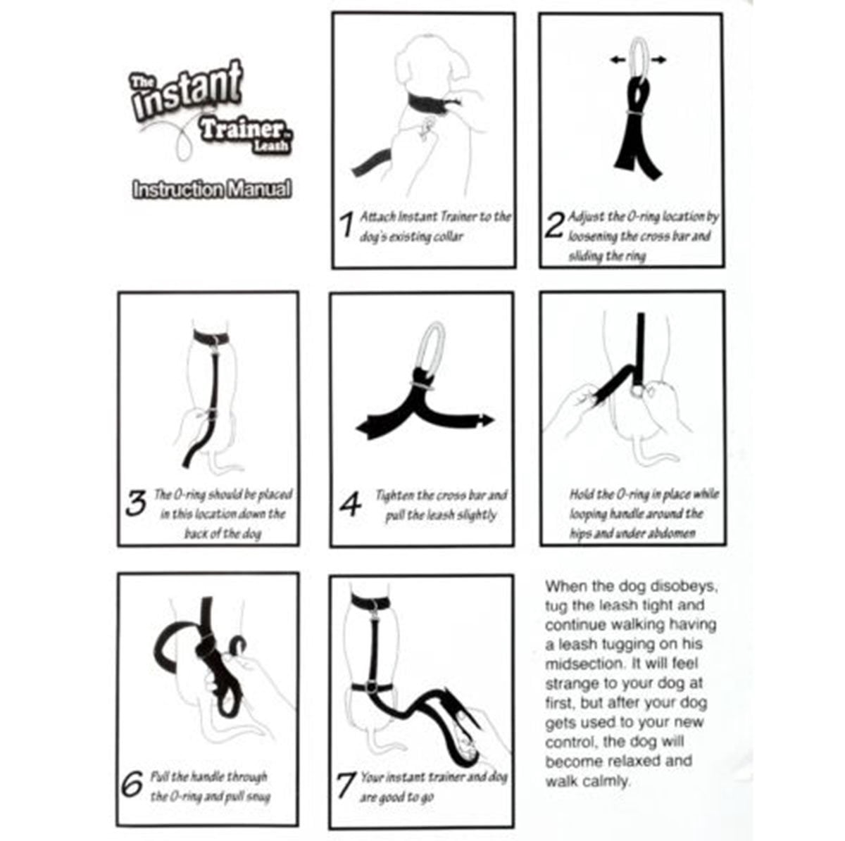 instant trainer