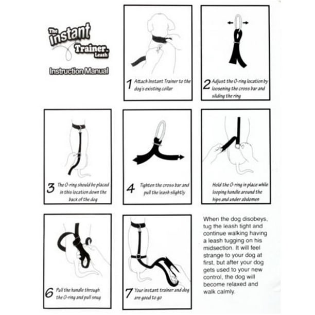 Instant trainer sale
