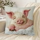 thumbnail image 1 of Funda de almohada de poliéster con adornos navideños, funda de almohada de pelusa corta de 45 cm con bordado de dos burros, funda de almohada decorativa para sofá, dormitorio, sala de estar, decoració, 1 of 6