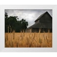 thumbnail image 3 of Scott Larson 14x12 White Modern Wood Framed Wall Art Titled - Harvest Time I, 3 of 5
