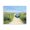 Moored Boat Coastal Pathway, variant on Stupell Industries Tropical Moored Boat on Path Black Framed Giclee Art, 14 x 11, by Sisi and Seb