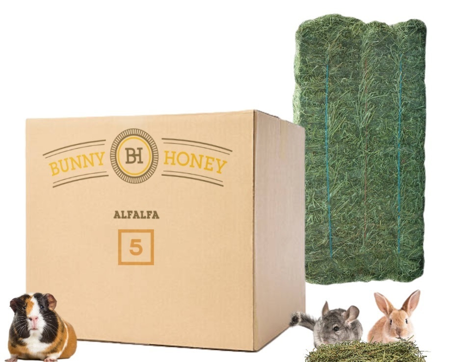 5 Lbs Fresh Alfalfa Hay by Bunny Honey USDA Organic Natural Hay for
