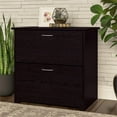 thumbnail image 2 of Pemberly Row Wood 2 Drawer Lateral File Cabinet in Chocolate Espresso Oak, 2 of 7