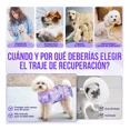 thumbnail image 3 of Faja Post Operatoria Body Traje Para Perros Chaleco Mascotas, 3 of 8