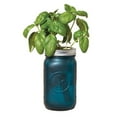 thumbnail image 1 of Modern Sprout Garden Jar Basil, 1 of 2