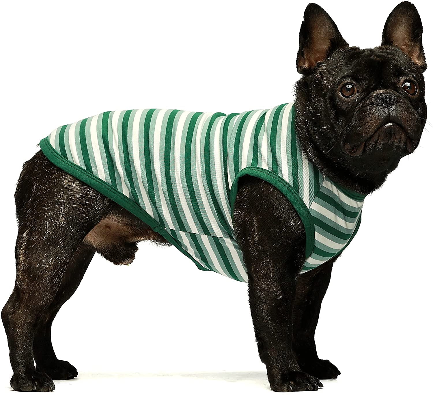 Fitwarm Watermellon Dog Pajamas Shirt for Pet Clothes Jumpsuit Cat Shirt S M XXL 