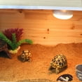 thumbnail image 3 of YSNOOWE 1Ud Para Terrario De Reptiles Con Fuerte Y Fácil Limpieza, 3 of 8