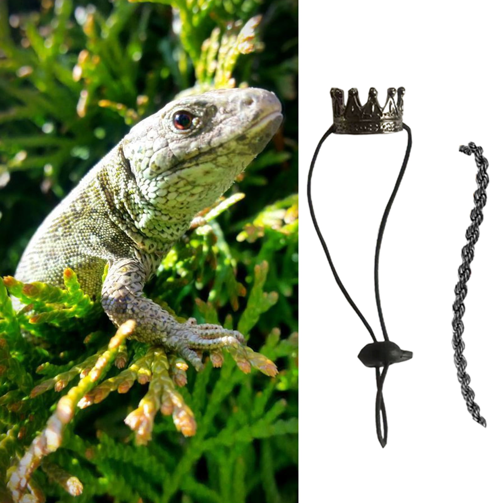 Cute Minimalist Animal Beads for  Dreadlocks/cow/giraffe/cows/tiger/deer/reptile/beads Decorations for  Dreadlocks/dreads Accessories 