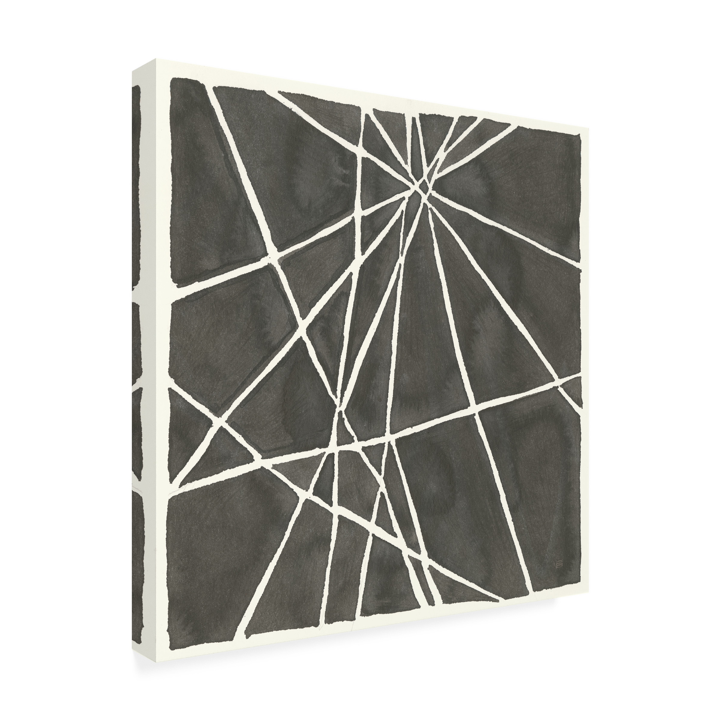 Trademark Fine Art 'Graphics VIII' Canvas Art by Chris Paschke