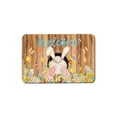thumbnail image 2 of Easter Welcome Doormat Outdoor Entrance,Happy Easter Door Mat Easter Eggs Bunny Doormat Indoor Outdoor Entrance Floor Rug Non Slip Spring Easter Decor Welcome Mats Greeting Party Decorations ,40x60cm, 2 of 9