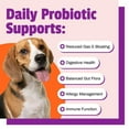 thumbnail image 3 of Pet Naturals Daily Digestive Health Probiotic Chews for Dogs, Duck Flavor, 4.76 oz Jar, 3 of 11
