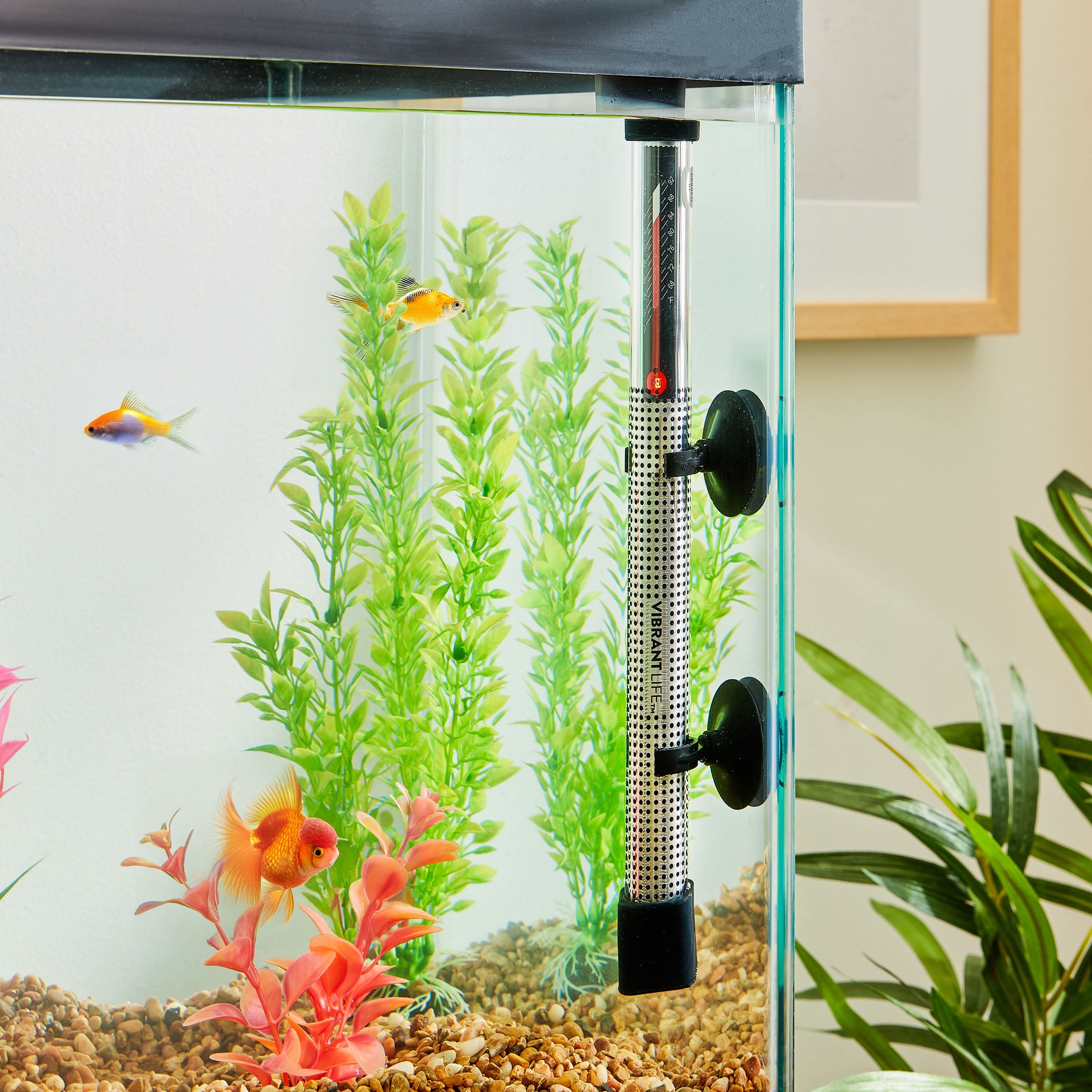 Vibrant Life 200 W Aquarium Heater