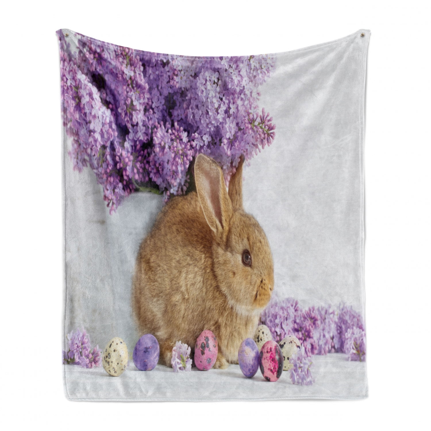 pure bite pet foods private limited