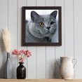 thumbnail image 4 of Cuadros Decorativos 5D diamante pintura gato gris completo redondo taladro Rhinestone DIY pared (sz1758) DQrwqpou Nuevos Originales, 4 of 7