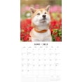 thumbnail image 3 of Red Robin 2025 Shiba Inu Wall Calendar, Premium Paper, Hangable 12 Month Calendar, 3 of 3