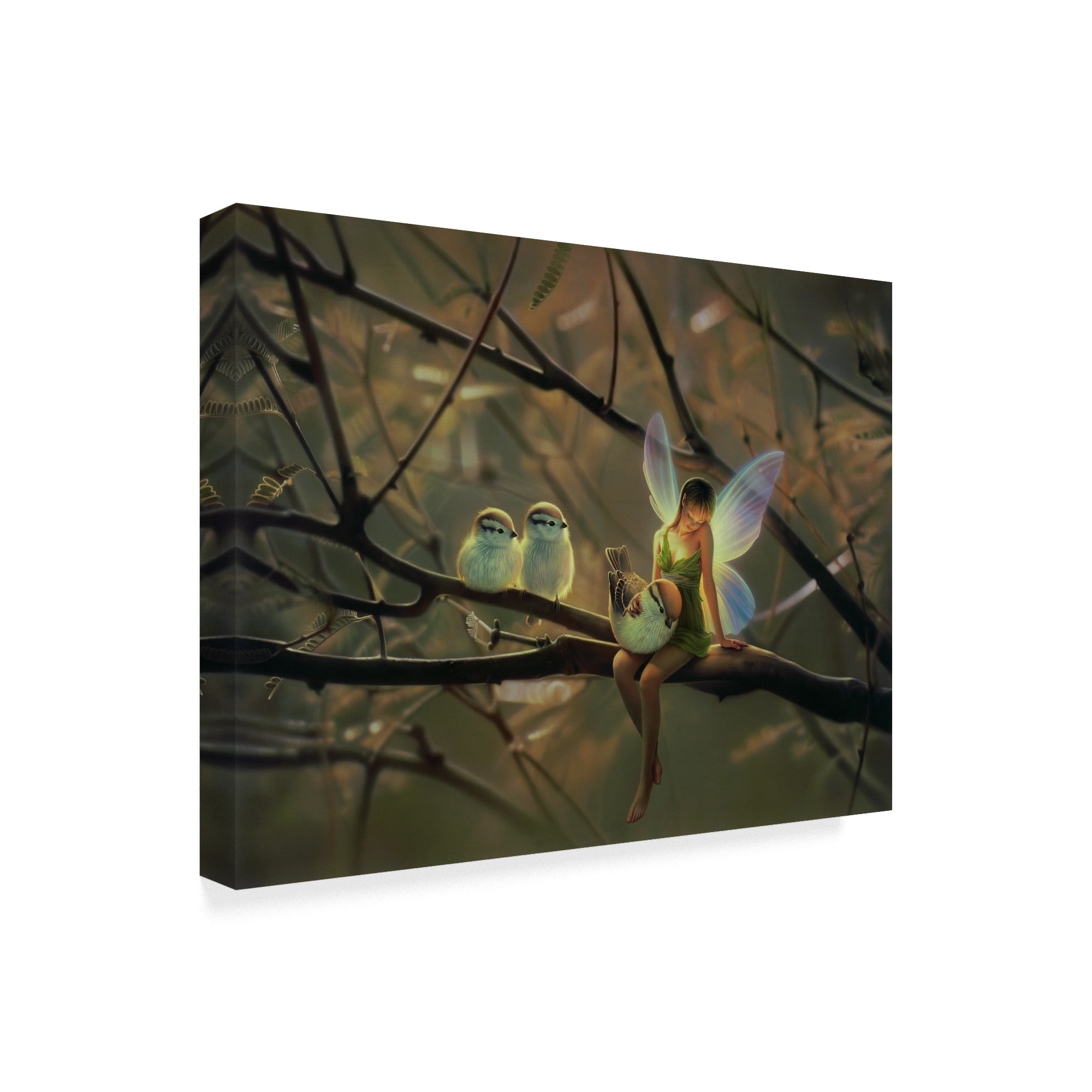 Trademark Fine Art 'Feathered Friends' Canvas Art by Kirk Reinert