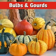 I Must Garden Squirrel Repellent - Protects Vehicles, Plants, Decking, Furniture – Works on Chipmunks – 32oz Ready to Use