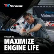 Valvoline Daily Protection 10W-30 Conventional Motor Oil 1 Quart